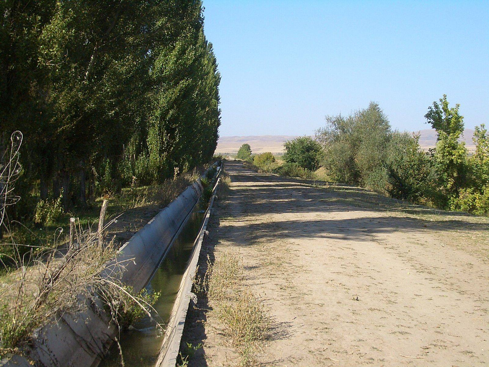An irrigation flume beside a farm road in the Chu valley