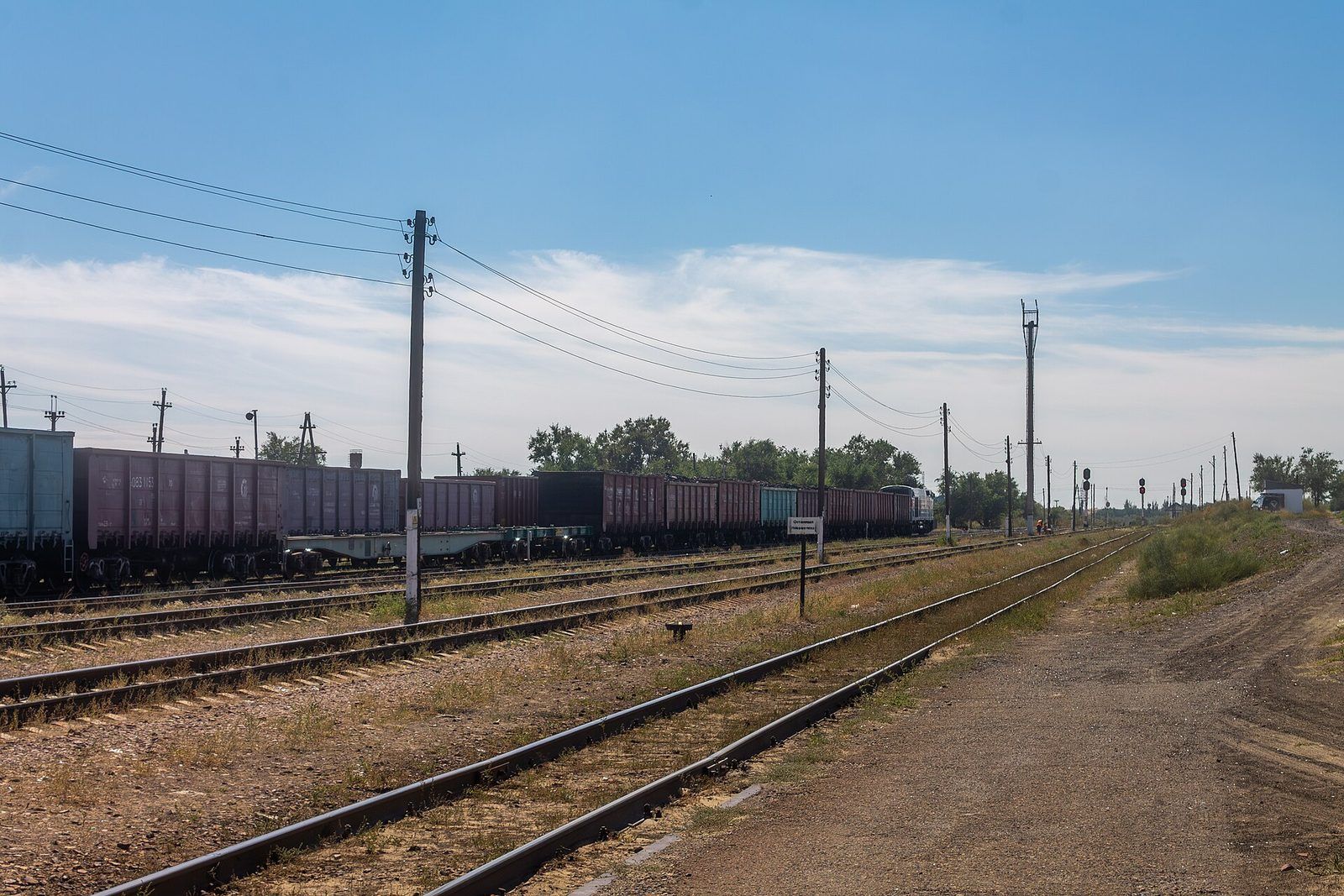 Freight wagons at a steppe station
