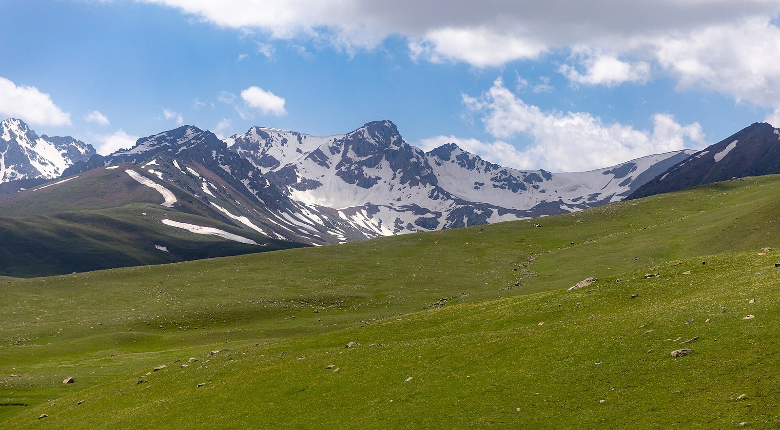 Mountain meadow and snow peaks
