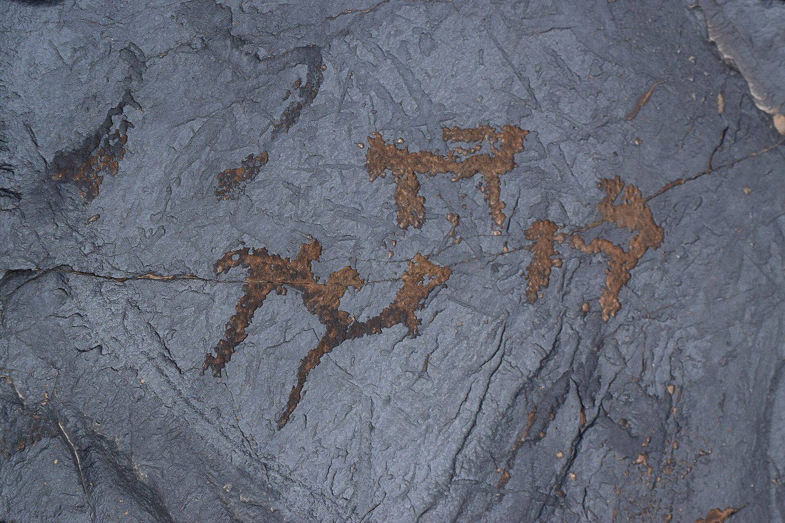 Rock carvings of horses and ibex
